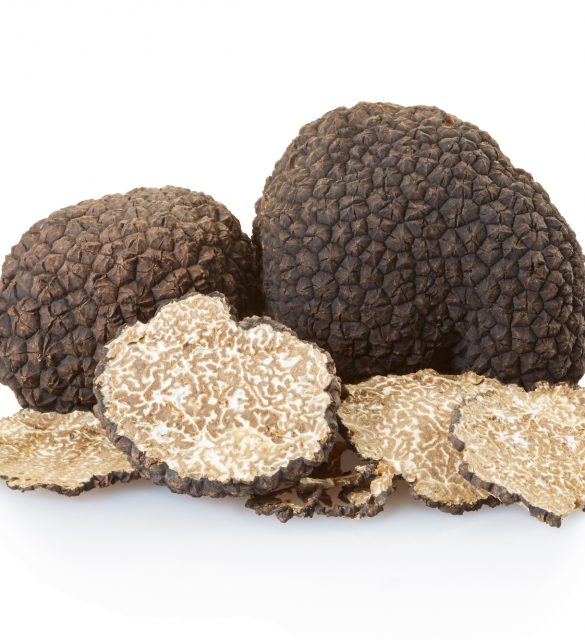 Black truffles group and slices isolated on white, clipping path included